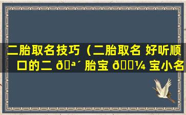 二胎取名技巧（二胎取名 好听顺口的二 🪴 胎宝 🌼 宝小名推荐）